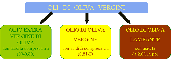 classificazioni olio di oliva vergine